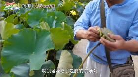龍潤(rùn)豐（中文）